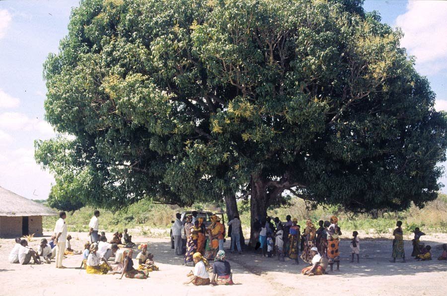 africa-bella-mozambico.jpg